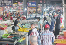 Menjelajahi Pasar Senen: Surga Belanja Murah Meriah, dari Pakaian Hingga Elektronik!