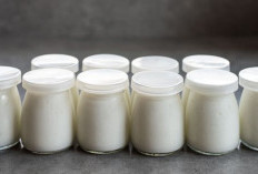 Memahami Kandungan Nutrisi Yogurt: Probiotik, Protein, Kalsium, dan Vitamin yang Penting untuk Tubuh!