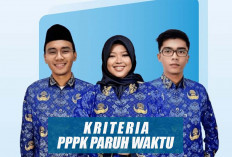 Ini Kriteria Honorer Yang Bisa Diangkat Menjadi PPPK Paruh Waktu