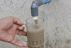 Atasi Air Keruh dan Bau: 3 Cara Mudah Menjernihkan Air Rumah Seperti Air Pegunungan!