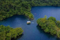 Danau Matano: Mutiara Tersembunyi di Sulawesi Selatan