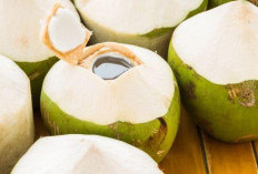 Memahami Kandungan Nutrisi Kelapa Muda: Elektrolit, Kalium, dan Gula Alami!