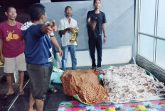 Laka Maut di Bukit Damri, Kedua Belah Pihak Sepakat Berdamai 