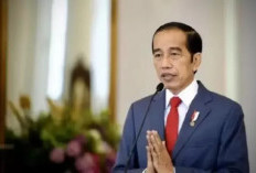 Jokowi Masuk Daftar Finalis Tokoh Terkorup OCCRP, Kontras dengan Visi Prabowo di 2025