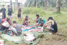 Penyembelihan Hewan Kurban di Arah Tiga Tuntas