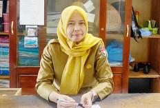 Produksi Ikan Air Tawar Mukomuko Tembus 800 Ribu Kg