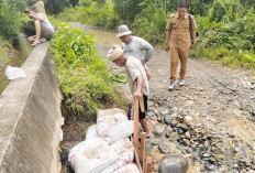 Camat Apresiasi Semangat Gotong Royong Petani Selagan Raya Perbaiki Irigasi Jebol