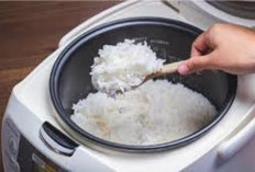 Hati-hati! Merendam Panci Rice Cooker Justru Bikin Cepat Rusak – Ini Solusi Aman Membersihkannya