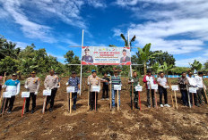 Pemda Apresiasi PT. Agro Muko Bantu Petani Tanam Jagung