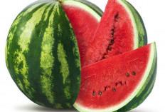 Tips Memilih Semangka yang Manis dan Segar: Panduan Lengkap untuk Konsumen!