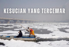 Yamuna, Sungai Suci yang Menjadi Comberan Raksasa