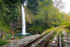 Eksplorasi Keindahan Lembah Anai di Sumatera Barat, Miliki Keunikan Menarik 