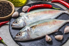 Bisa Mencegah Komplikasi, 7 Ikan Yang Efektif di Konsumsi Oleh Penderita Diabetes