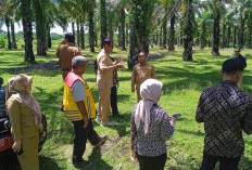 Permukiman Kumuh Suka Pindah Target Pemkab Mukomuko 2025