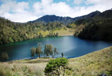 Camping di Ranu Kumbolo: Menyatu dengan Alam, Menikmati Kopi Hitam di Ketinggian   ﻿
