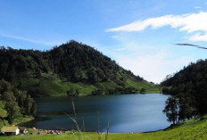 Ranu Kumbolo, Surga Tersembunyi di Tengah Hutan Tengger