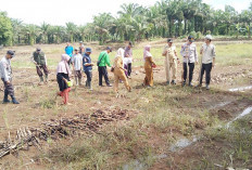 Selain Tanam Jagung, Ini Program Ketahanan Pangan DD Lubuk Gedang Tahun 2025