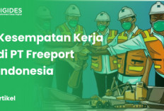 Kesempatan Emas! Lowongan Kerja PT Freeport Indonesia untuk Lulusan D4 hingga S2, Ayoo Daftar Sekarang!