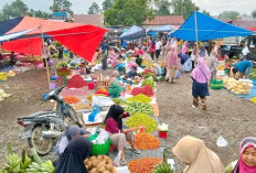 Harga Cabai Beranjak Naik, Rawit Setan Tembus Rp 80 Ribu Per Kg