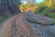 Miris! Kerusakan Jalan Poros Desa Talang Buai Makin Parah 