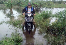 Warga Teramang Jaya Masih Ingin Bersawah