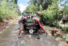 Harga Karet Naik Signifikan