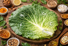 Si Kecil yang Padat Gizi: Mengupas Tuntas Kandungan Nutrisi Super dalam Sehelai Daun Kol