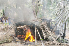 Polsek Ponsu Amankan Pelaku Pencurian TBS Sawit, 1 Mobil Hangus Dibakar Masa