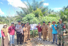 Pemdes Kota Praja Star Realisasi Pembangunan Fisik DD Tahun 2025