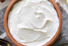 Keajaiban Yogurt: Lebih dari Sekadar Camilan Sehat, Sumber Probiotik untuk Kesehatan Pencernaan dan Kekebalan 