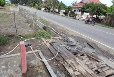 Dulu Diributkan, Sekarang Jadi Rebutan