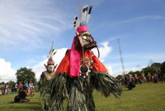 Tradisi Mencari Kayu Suku Dayak: Harmoni Alam dan Kearifan Lokal