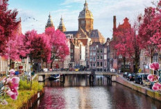 Amsterdam, Lebih dari Sekadar Kincir Angin dan Kanal, Sebuah Petualangan di Negeri Kincir