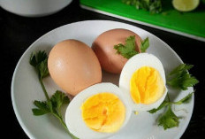 Mitos dan Fakta tentang Telur: Menghilangkan Keraguan dan Mendapatkan Informasi yang Benar!   ﻿