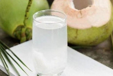 Tak Hanya Segar, Ini 8 Manfaat Luar Biasa Minum Air Kelapa Setiap Hari!