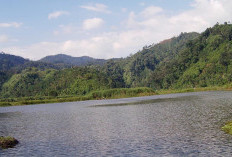 Wisata Alam Danau Lebong Di Benteng Sangat Mempesona, Terutama Ketika Matahari Terbenam, dekat dengan kota Ben