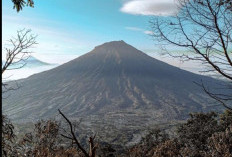 Menaklukkan Sumbing: Jejak Sejarah, Filosofi, Flora Fauna, dan Jalur Pendakian