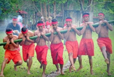  Bambu Gila Tradisi Unik Masyarakat Maluku yang Menakjubkan