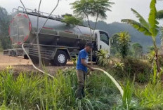 Susu Lokal Terbuang, Industri Pilih Impor, Nasib Peternak Sapi Perah di Ujung Tanduk?