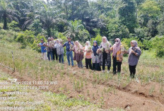 Kadis Pertanian Hadiri Panen Perdana Bawang Merah Full Organik 