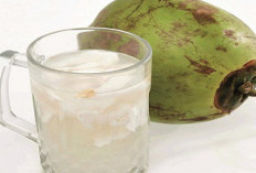 10 Kelompok Orang yang Dianjurkan Minum Air Kelapa: Dari Atlet hingga Penderita Diabetes, Ini Manfaatnya!