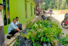 Gajah Mati Canangkan Program Penghijauan 