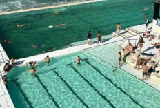 Bondi Icebergs, Legenda Berenang Musim Dingin di Sydney yang Menakjubkan