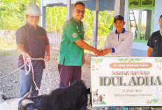 PT BMK Salurkan 5 Ekor Hewan Kurban untuk Karyawan dan Masyarakat Sekitar