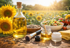 Minyak Bunga Matahari: Rahasia Sehat dari Alam untuk Masakan dan Kecantikan