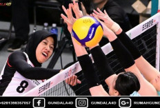 Statistik Gemilang Megawati Hangestri, Menaklukkan V-League Korea Selatan