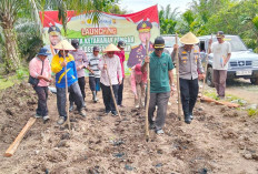 Camat dan Kapolsek Sungai Rumbai Ikut Tanam Jagung Lomba Sadesahe 