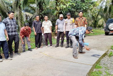 Masa Jabatan Hampir Berakhir, Kades Sungai Ipuh Pertimbangkan Maju Kembali