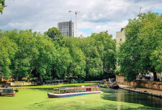 Menikmati Suasana Eropa di Little Venice Kota Bunga Puncak