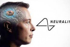 Teknologi Neuralink Apakah Kita Akan Bisa Mengendalikan Komputer dengan Pikiran